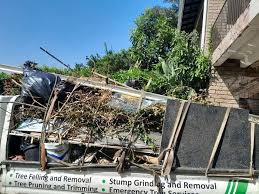  Clifton, AZ Junk Removal Services Pros